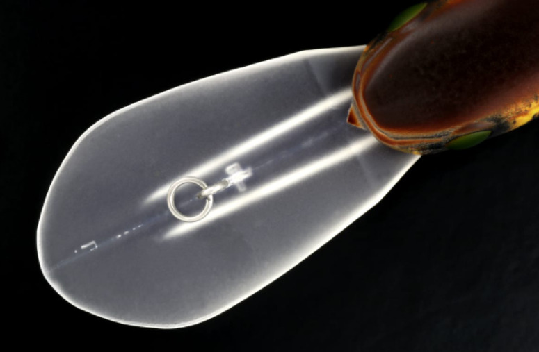 デプスのdc400カスカベルのインプレ情報 Dc300キックバッカーと使い分けた使い方をしてみたい ワーム部