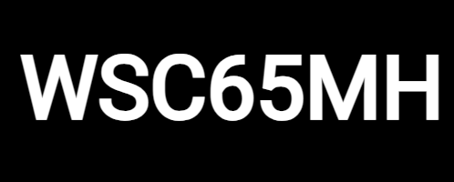 WSC65MHのインプレ